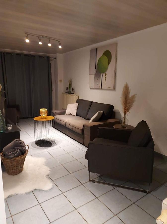 Appartement Rdc Plein Centre Avec Terrasse Visé المظهر الخارجي الصورة